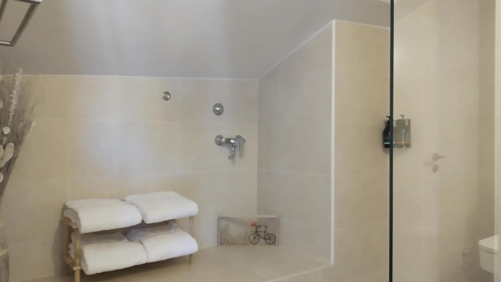 Hotel Olot Centre